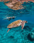 Marathonisi, Keri Caves & Turtle Spotting