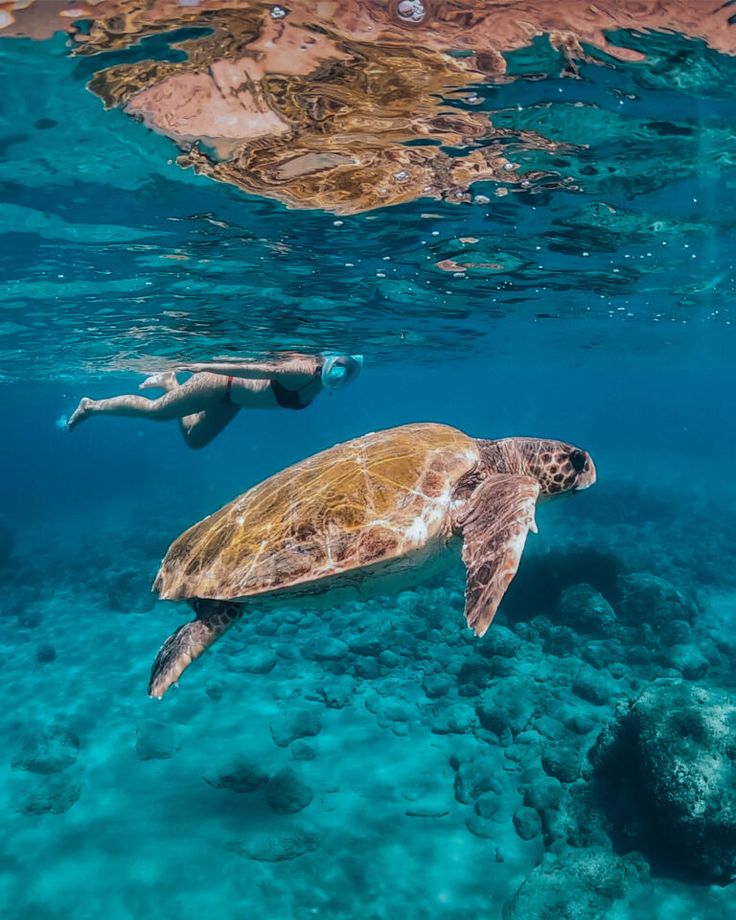 Marathonisi, Keri Caves & Turtle Spotting